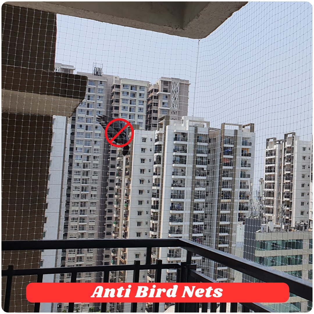 Anti-Bird Nets