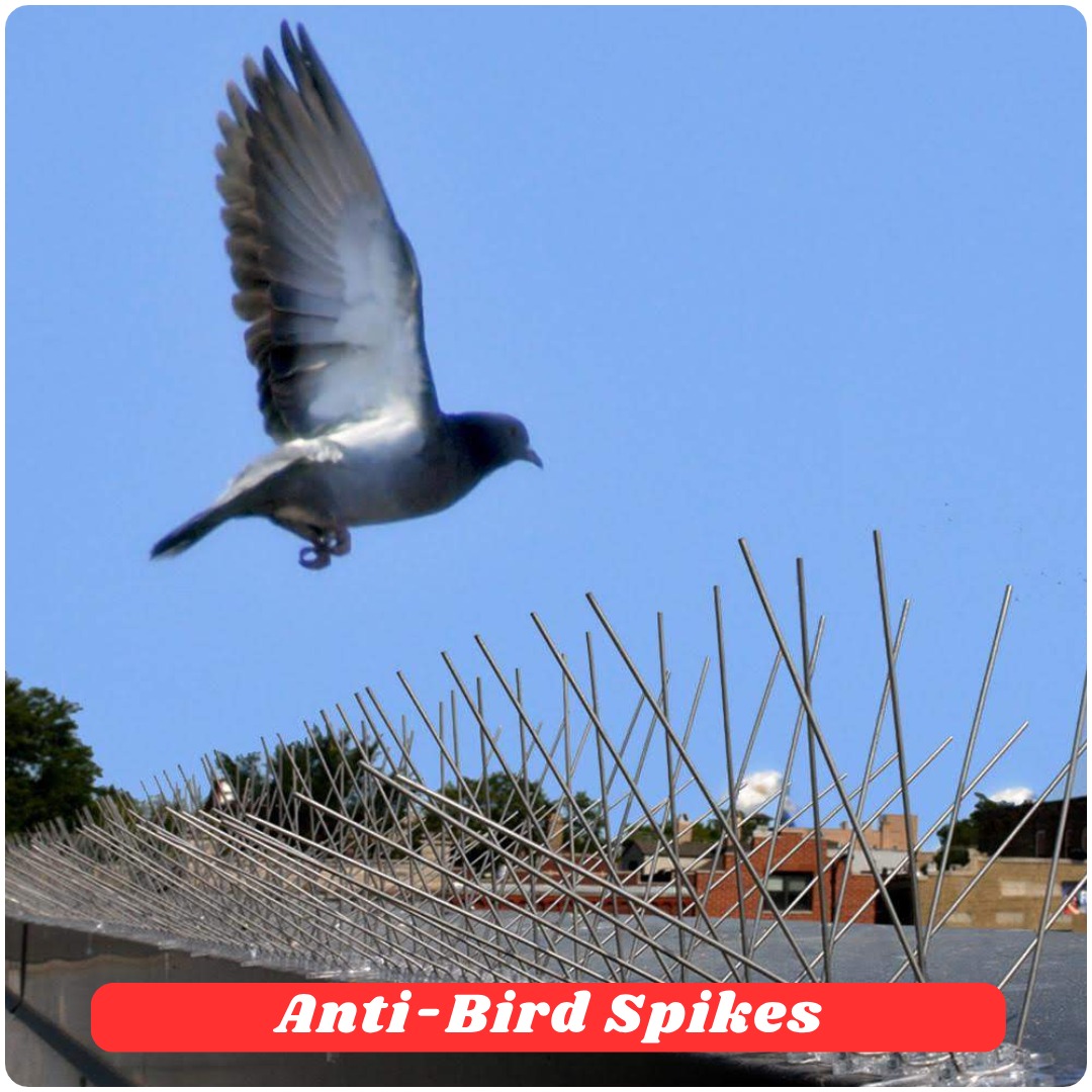 Bird Netting Applications